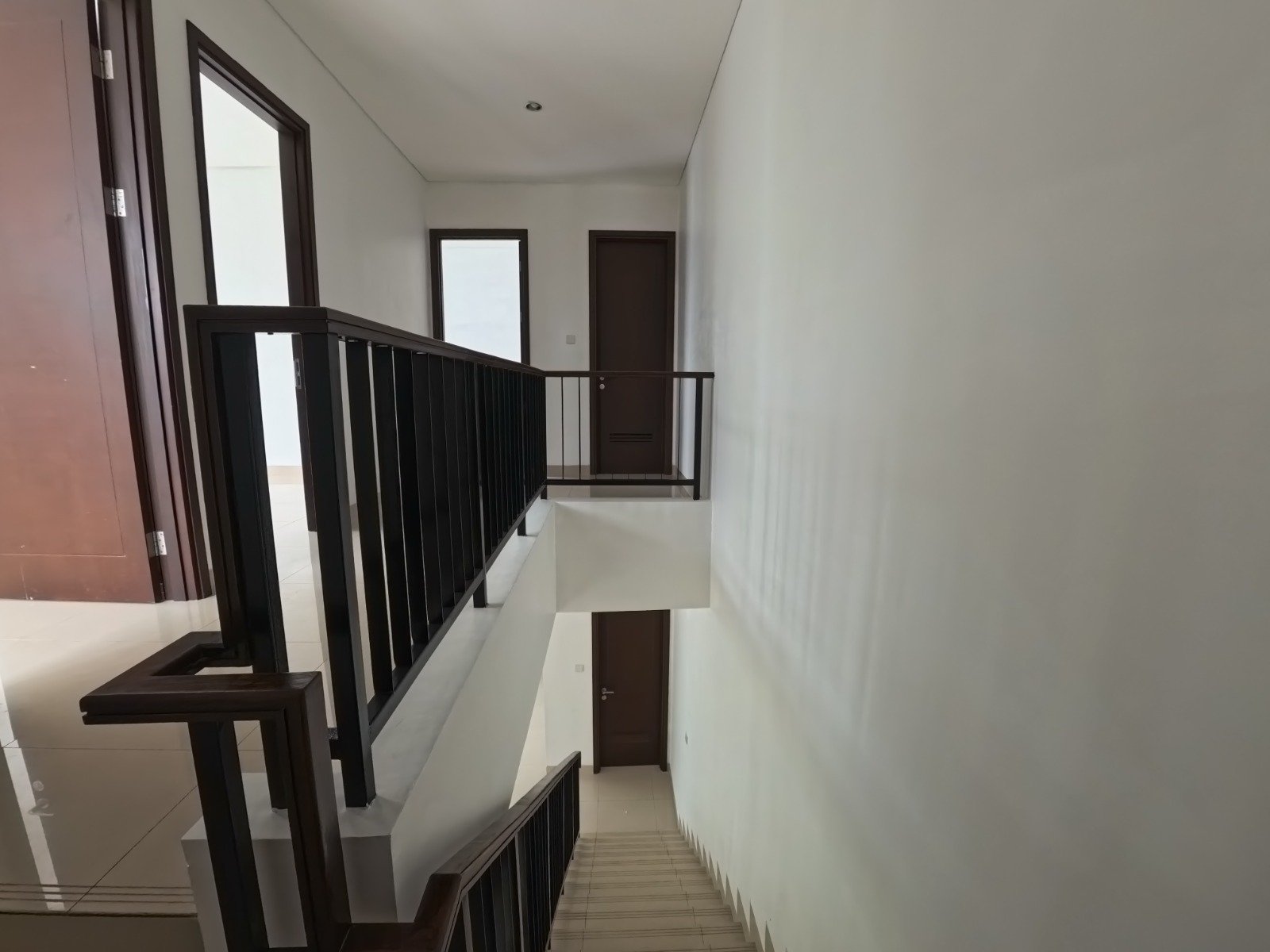 Mahogany 6